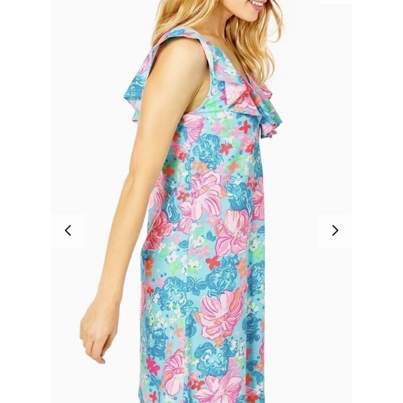 Lilly Pulitzer Alessa Swing Dress Size Small Surf Blue Luscious Lions $108 - Picture 5 of 15